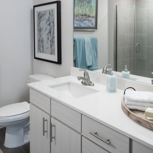 Bathroom options with thoughtful details Model bathroom at Solana Lakewood senior living apartments near Denver, CO, featuring white counters.